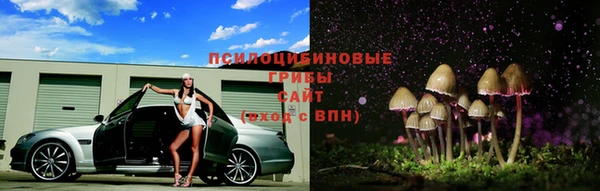 молекула духа Инта