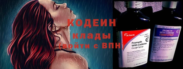 молекула духа Инта
