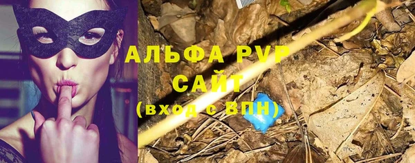 мет Инсар
