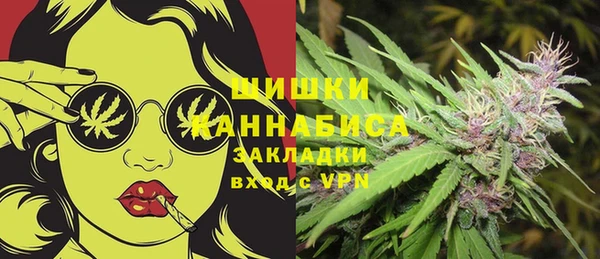 молекула духа Инта