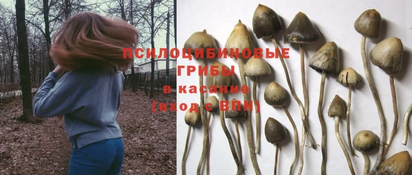 эйфоретик Зеленокумск