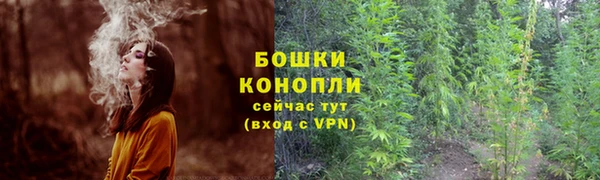 молекула духа Инта