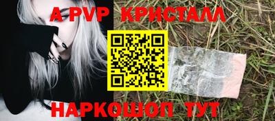 стаф Донецк