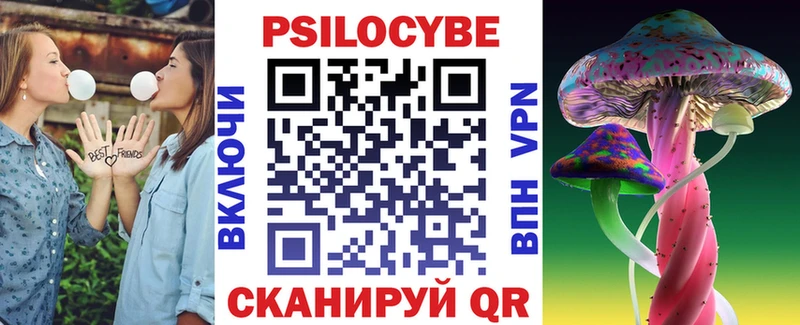 Галлюциногенные грибы Cubensis  купить наркоту  Елизово 