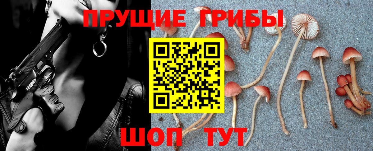 Псилоцибиновые грибы GOLDEN TEACHER  Елизово 