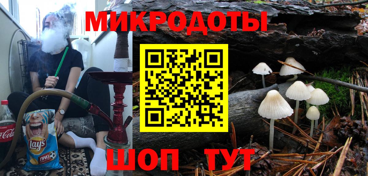 Псилоцибиновые грибы Psilocybine cubensis Елизово