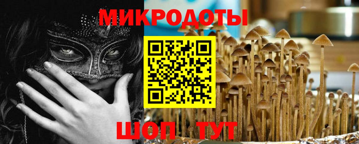 наркошоп  Вход с VPN  Псилоцибиновые грибы мухоморы  Елизово  Галлюциногенные грибы GOLDEN TEACHER 